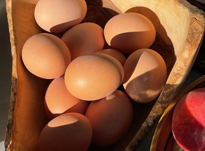 Gæstehus And Lisjak Koper